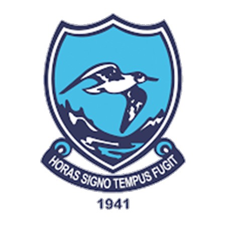 Hermanus High