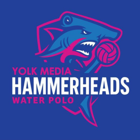 Hammerheads